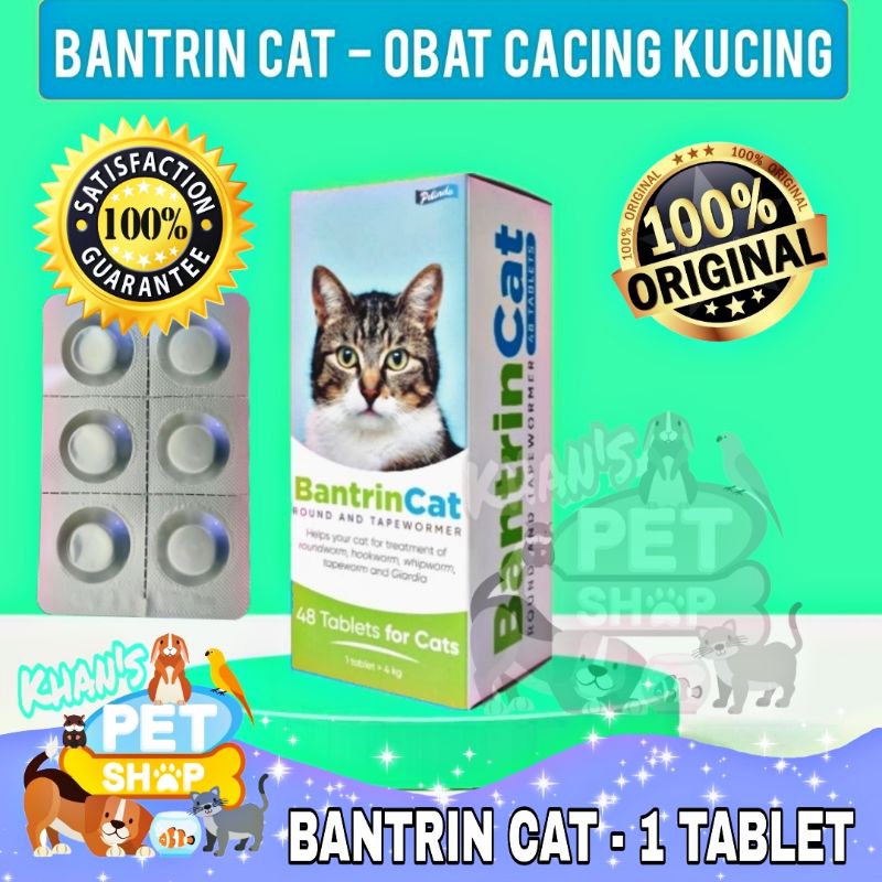 Jual Bantrin Cat Alternatif Drontal Cat Obat Cacing Kucing 1 Tablet ...