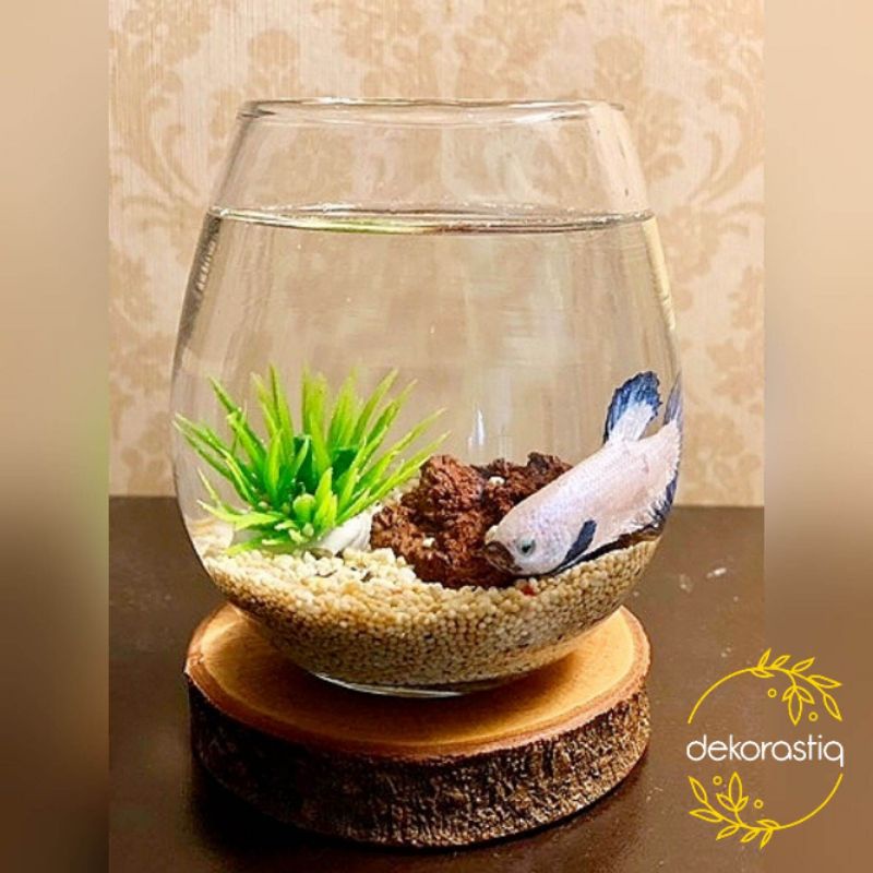 Jual (1 PAKET) AQUARIUM MINI IKAN CUPANG TUSKANI / AQUARIUM BULAT