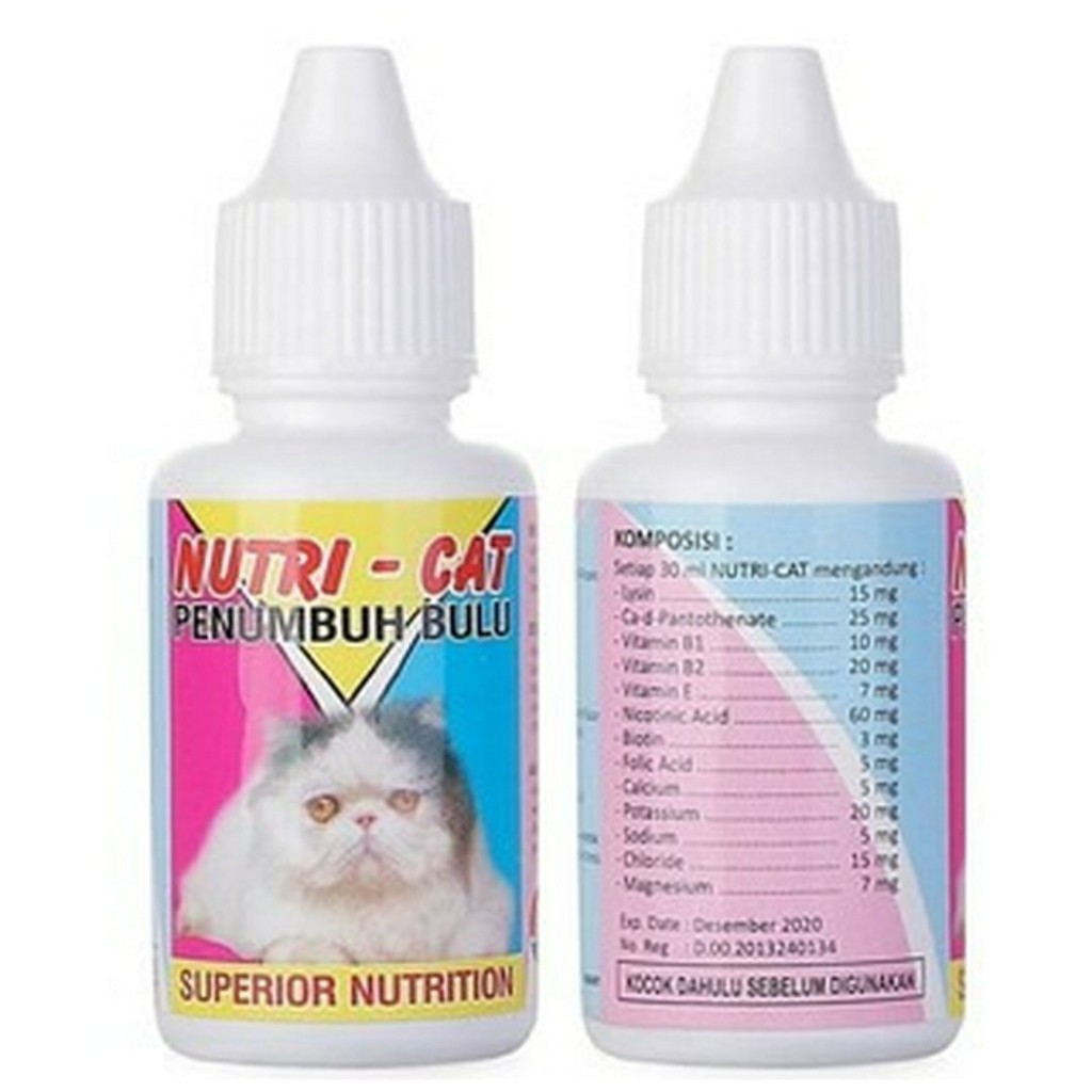 Nutri cat 2025