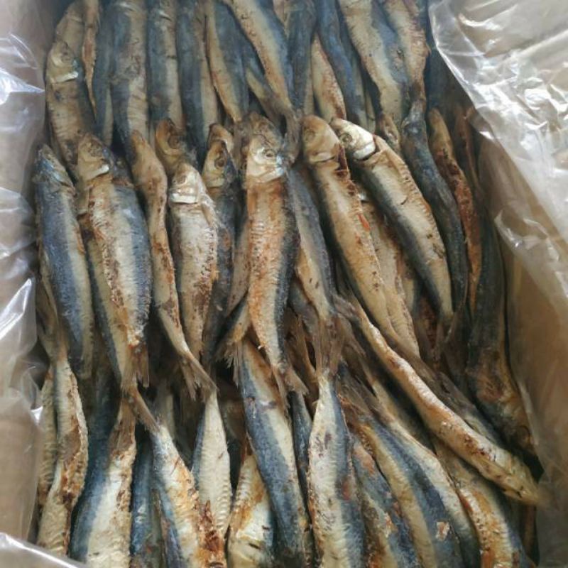 Jual Ikan Asin Pedo Japuh Kering Murah 1 Kg | Shopee Indonesia