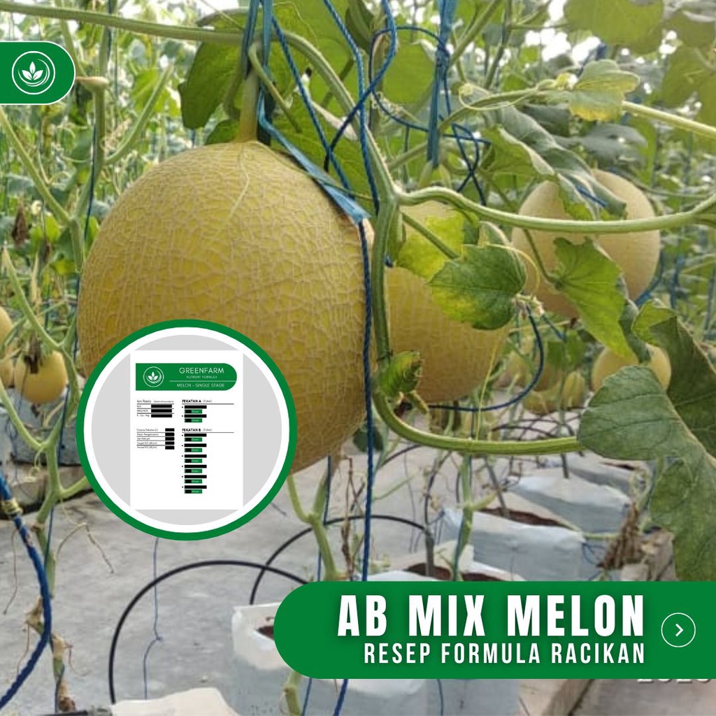Jual Resep AB Mix Melon Formula Racikan Nutrisi AB Mix Melon | Shopee ...
