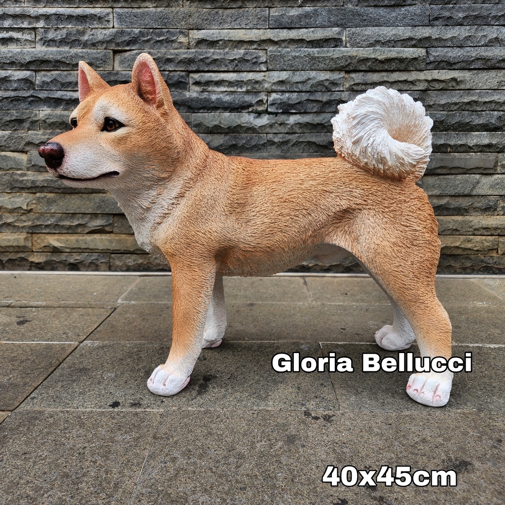 Akita store inu harga