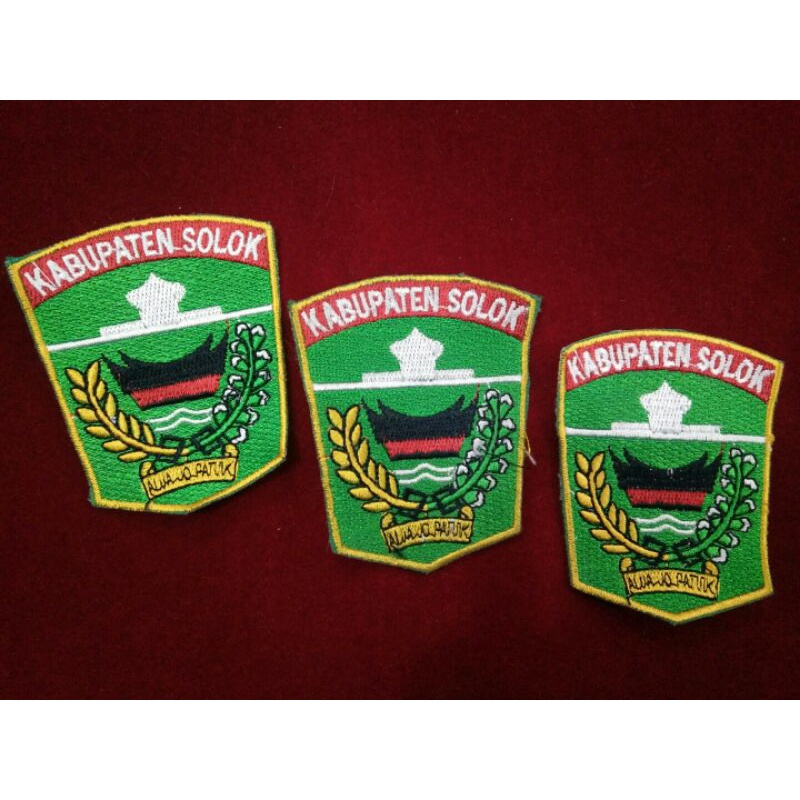 Jual logo kab.solok pemda | Shopee Indonesia
