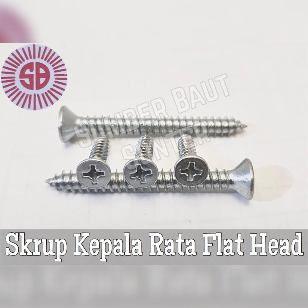 Jual FH 8x2 1/2 Tapping Screw ISI 100 - Skrup Kepala Rata 8 x 2 1/2 ...