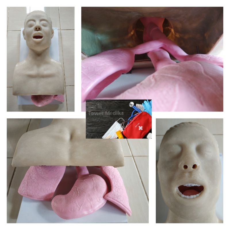 Jual Phantom Manikin Manekin Intubasi Airway Ett Airway Shopee Indonesia