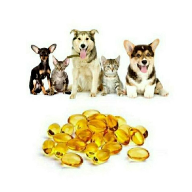 Jual MINYAK IKAN 25 BUTIR FISH LIVER OIL TUNG HAI VITAMIN KUCING