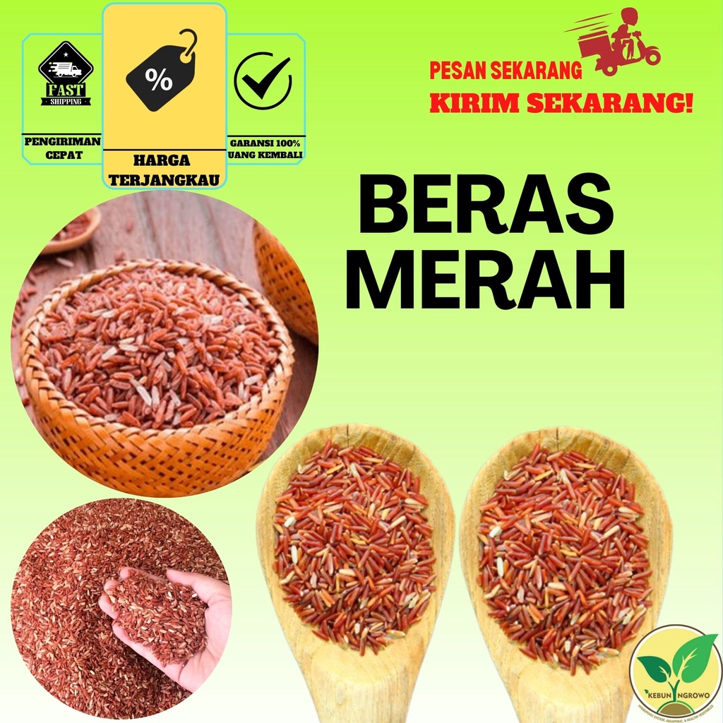 Jual Beras Merah Pakan Burung Dara Merpati Ayam Jago Ternak Kg