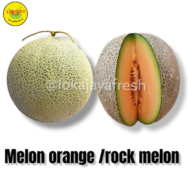 Jual Melon Orange Rock Melon Manis 1 kg | Shopee Indonesia