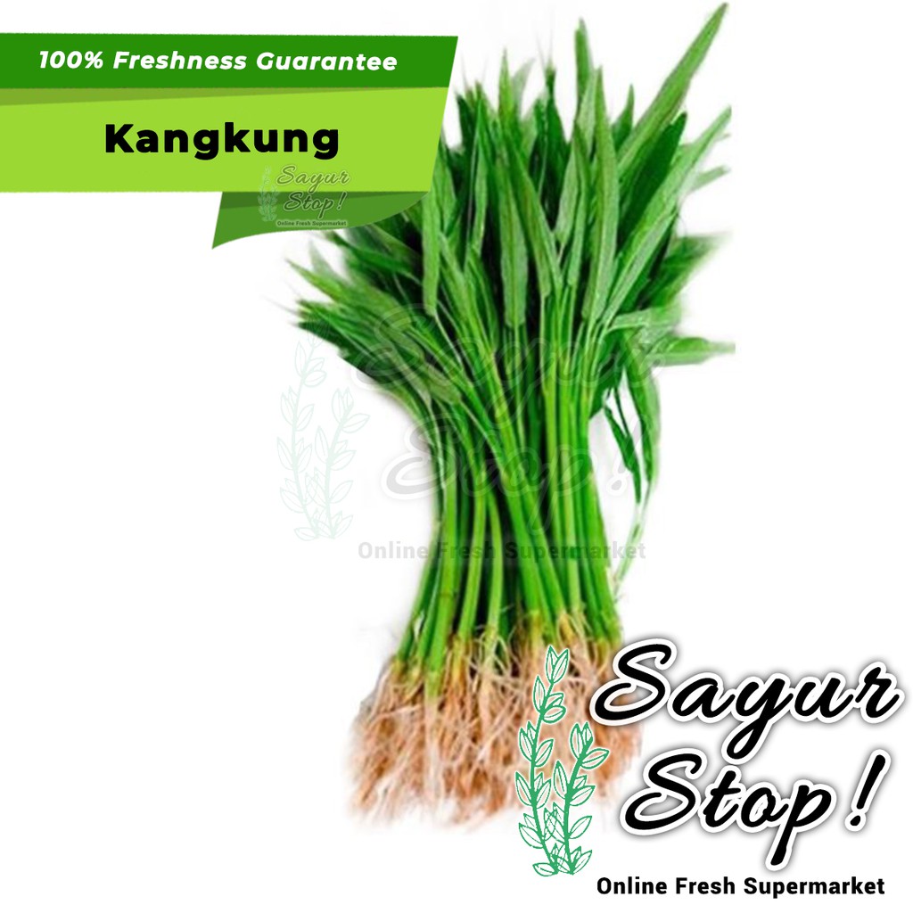 Jual Sayur Stop Kangkung 1 Ikat Shopee Indonesia 7420