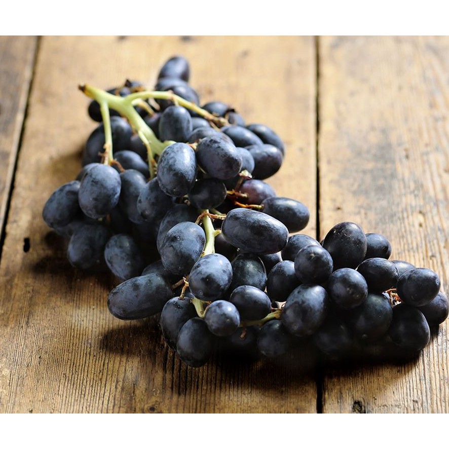 Jual buah anggur black autumn australia / anggur hitam autumn australia ...