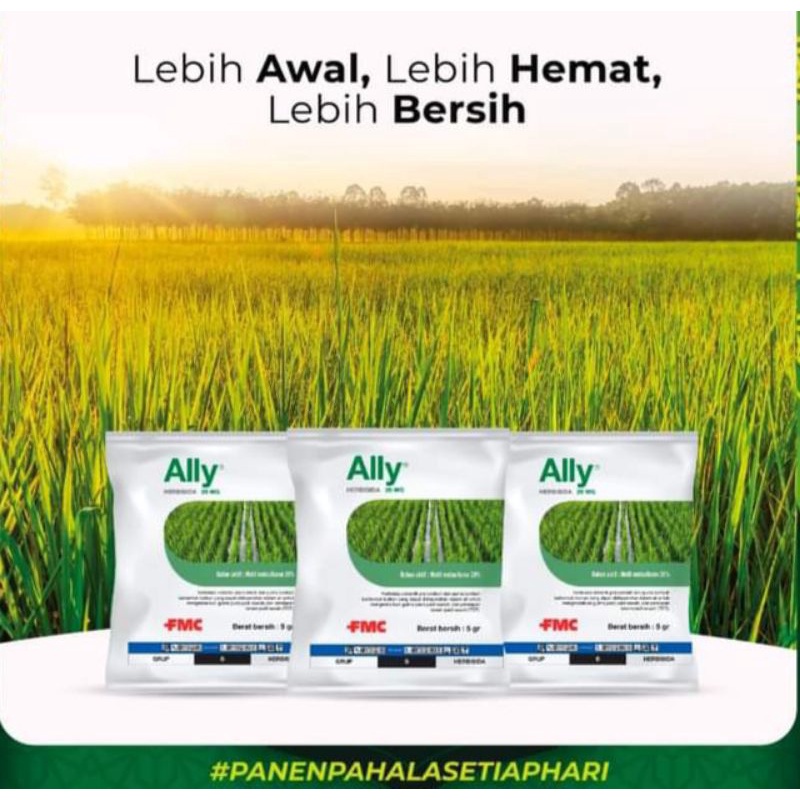 Jual Herbisida ALLY 20 WG Kemasan 5 Gram | Shopee Indonesia