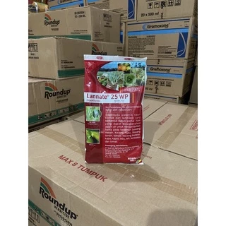 Rus porno filmlar yulduzlari Paypoqdagi yalangoch fohishalarning fotosuratlari