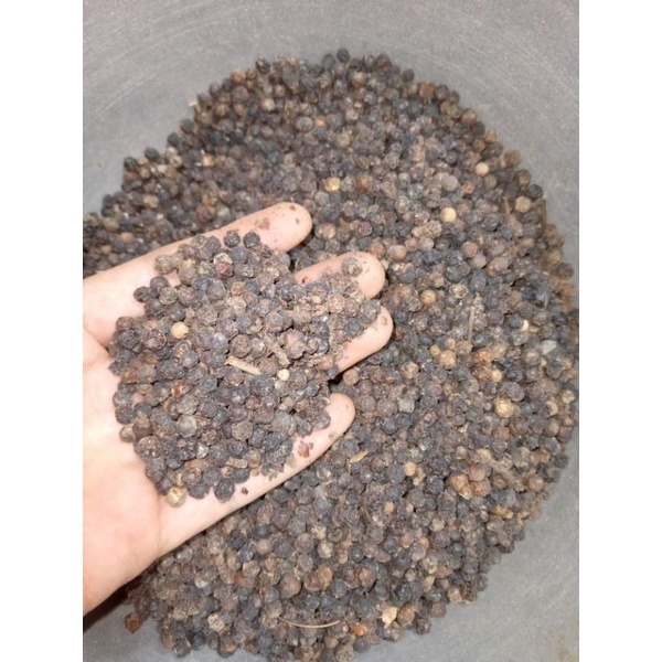Jual LADA HITAM KERING 1KG | Shopee Indonesia