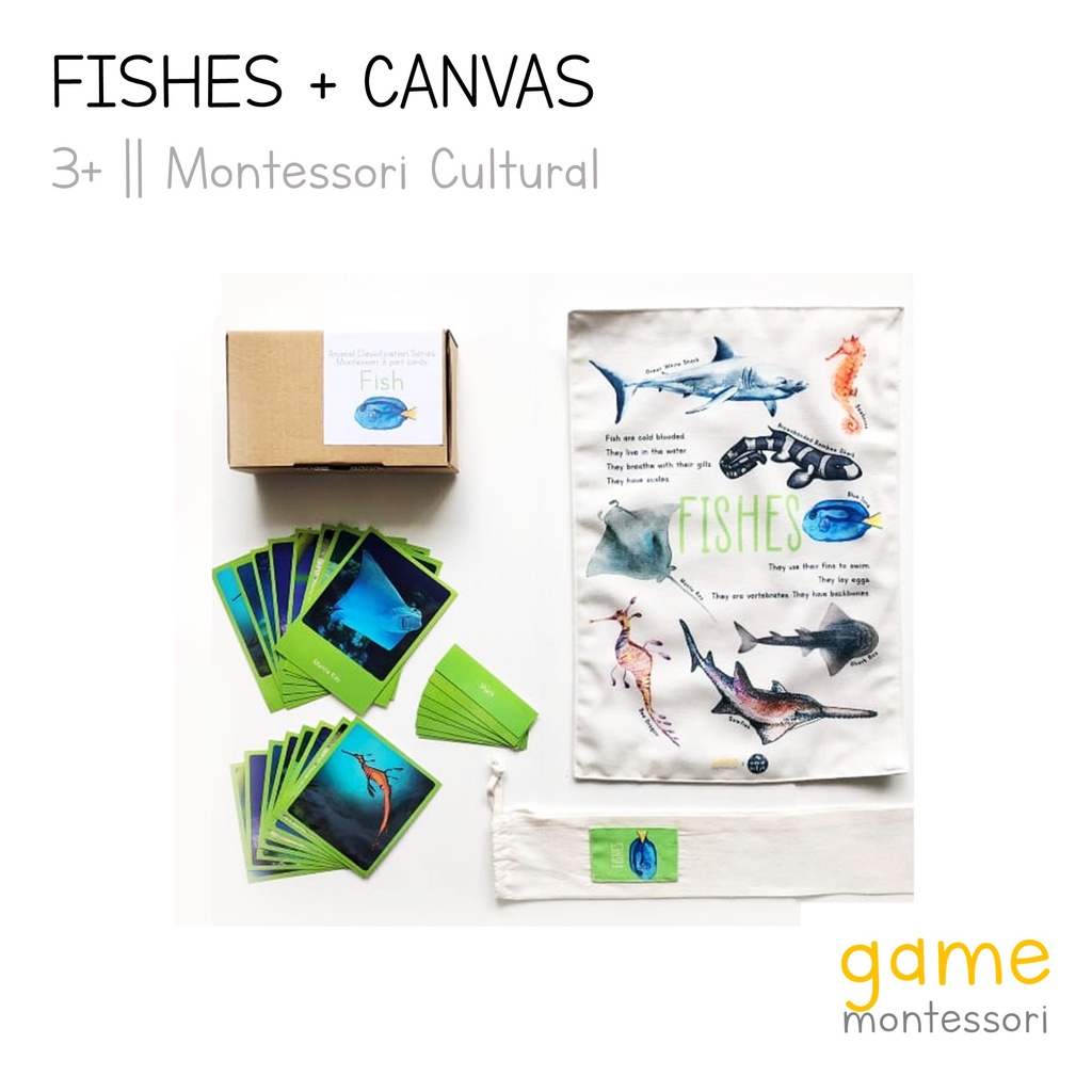 Jual Game Montessori Animal Classification Canvas Series Mollusks ...