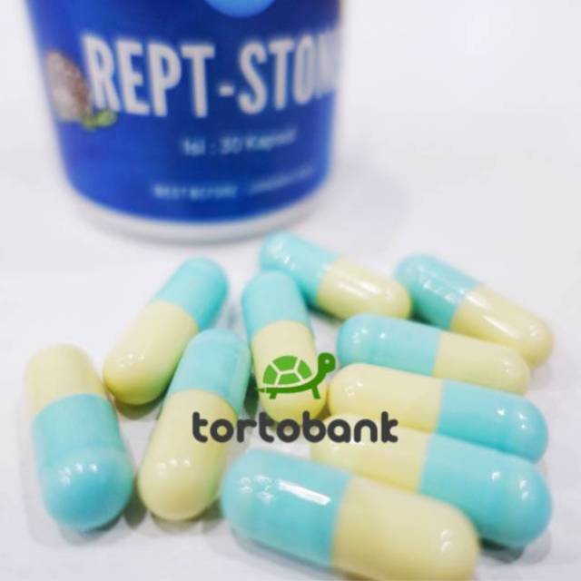 Jual ECERAN 1 KAPSUL REPT-STONE OBAT BLADDER STONE OBAT PENCERNAAN REP ...
