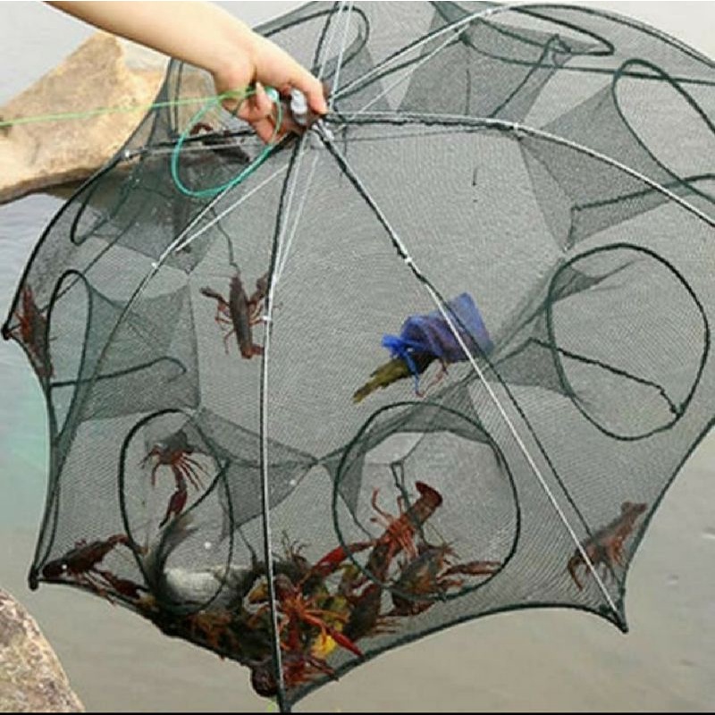 Jual Jala ikan payung / bubu ikan 8 lubang / jaring perangkap ikan ...