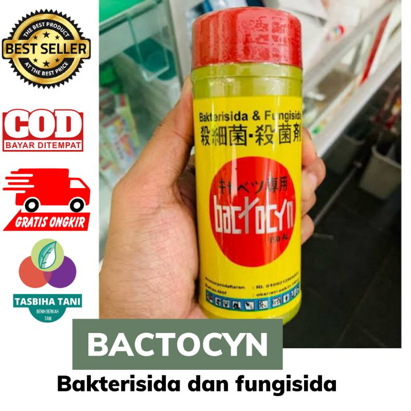 Jual BACTOCYN 150 AL bakterisida & fungisida mengendalikan layu bercak ...