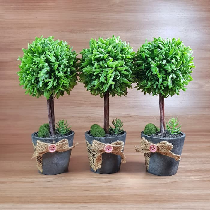 Jual Pot | Pot Bunga Pohon Rumput Bulat | Shopee Indonesia