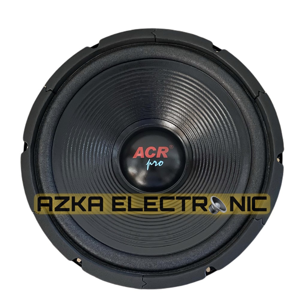 Speaker 12 inch store woofer