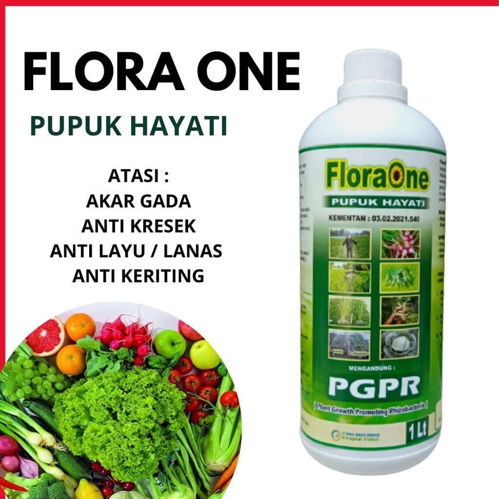 Jual Flora One Pupuk Hayati Pupuk Pgpr Agar Cepat Tumbuh Rhizobium Sp Mempercepat Pertumbuhan 5227