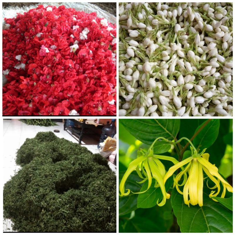 Jual kembang tabur makam ziarah campur | Shopee Indonesia