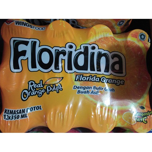 Jual Floridina Orange 350ml x 12pcs | Shopee Indonesia