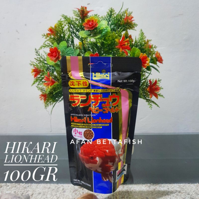 Jual Hikari Lion Head 100gr / Lionhead 100 gram Makanan Ikan Koki ...