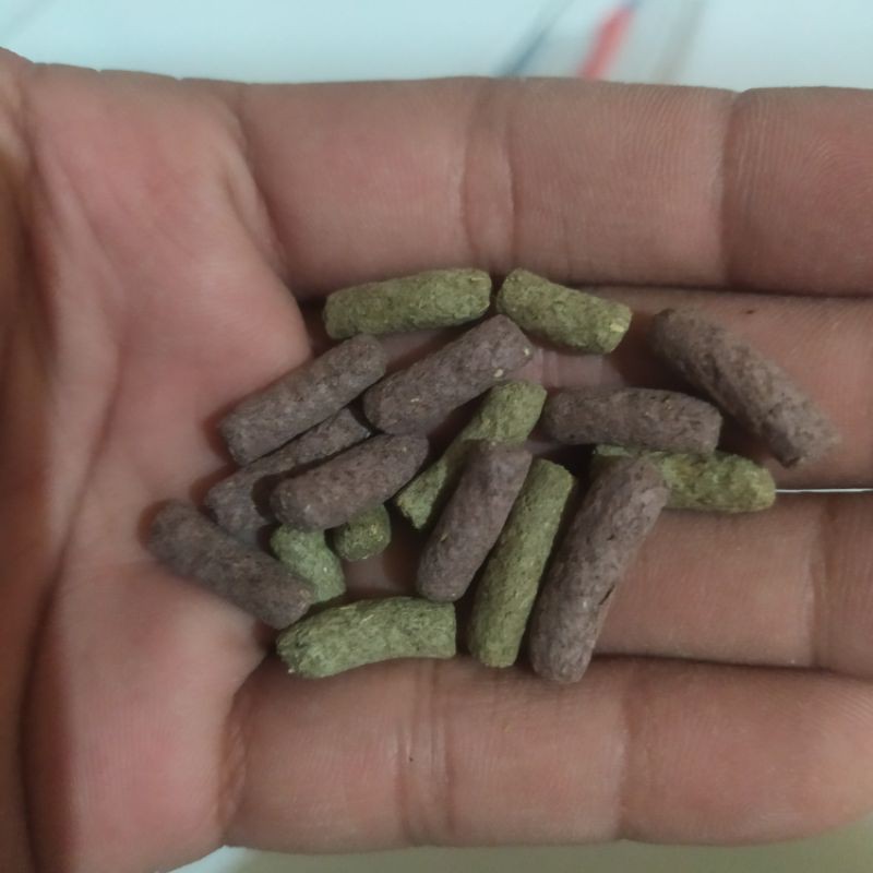 Jual DRIED VEGETABLE & FRUIT MAKANAN HAMSTER GERBIL CAMILAN