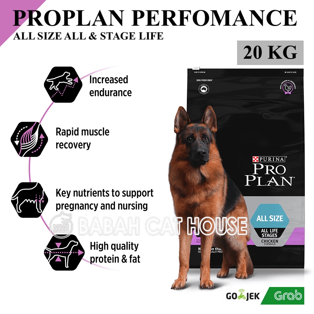 Dog food hotsell untuk pitbull