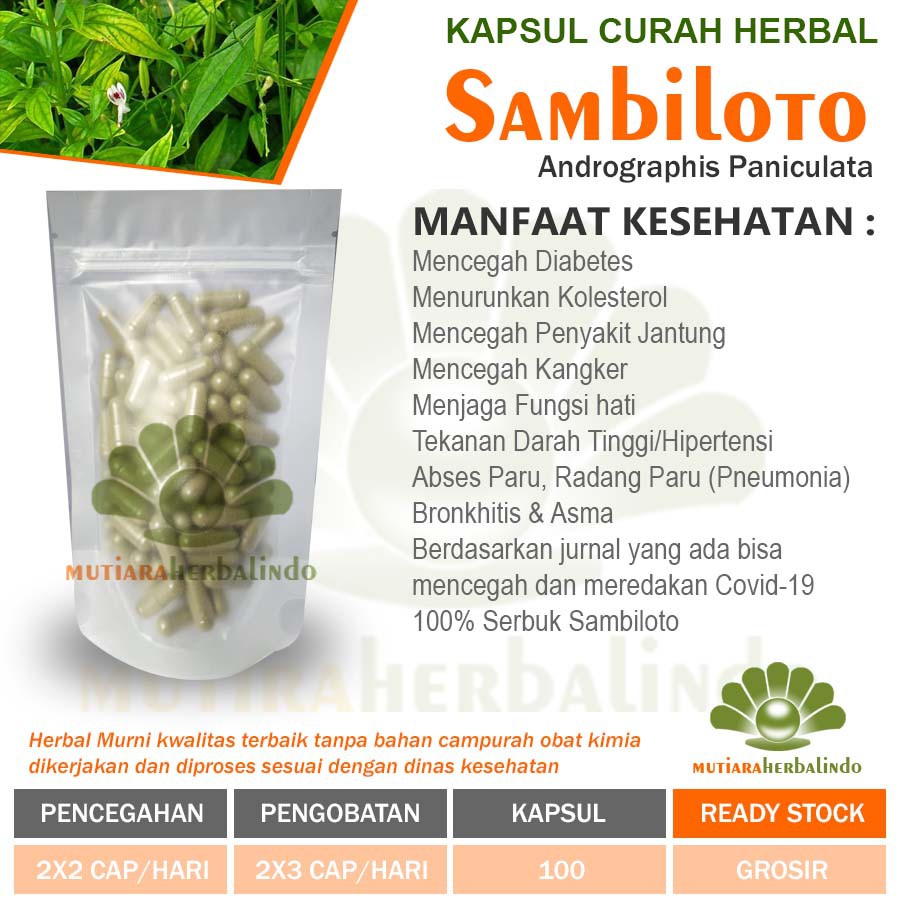 Jual SAMBILOTO 100 Kapsul Herbal Sklerosis Diabetes Pneumonia Kencing ...