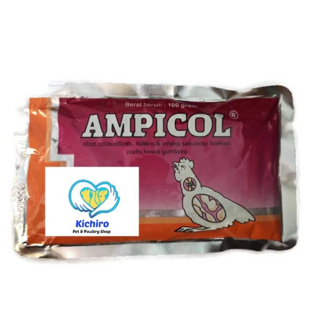 Jual Ampicol 100 gram Medion Obat Ayam Kolera, Colibaciliosis dan ...
