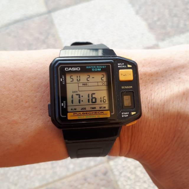 Casio best sale jp 100