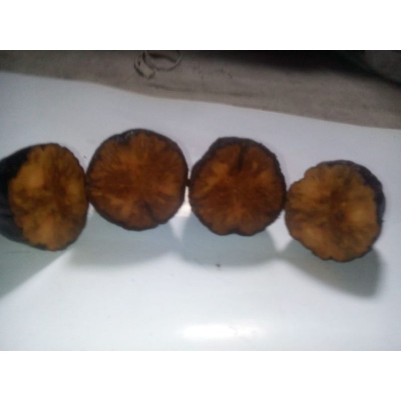 Jual biji kaukah buta atau buntat | Shopee Indonesia