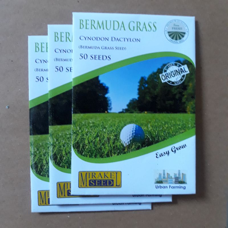 Jual Benih Bunga Bibit Tanaman Butir Rumput Bermuda Golf Isi 50 Biji