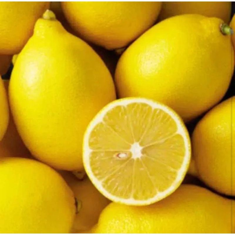 Jual lemon import 500 gram | Shopee Indonesia