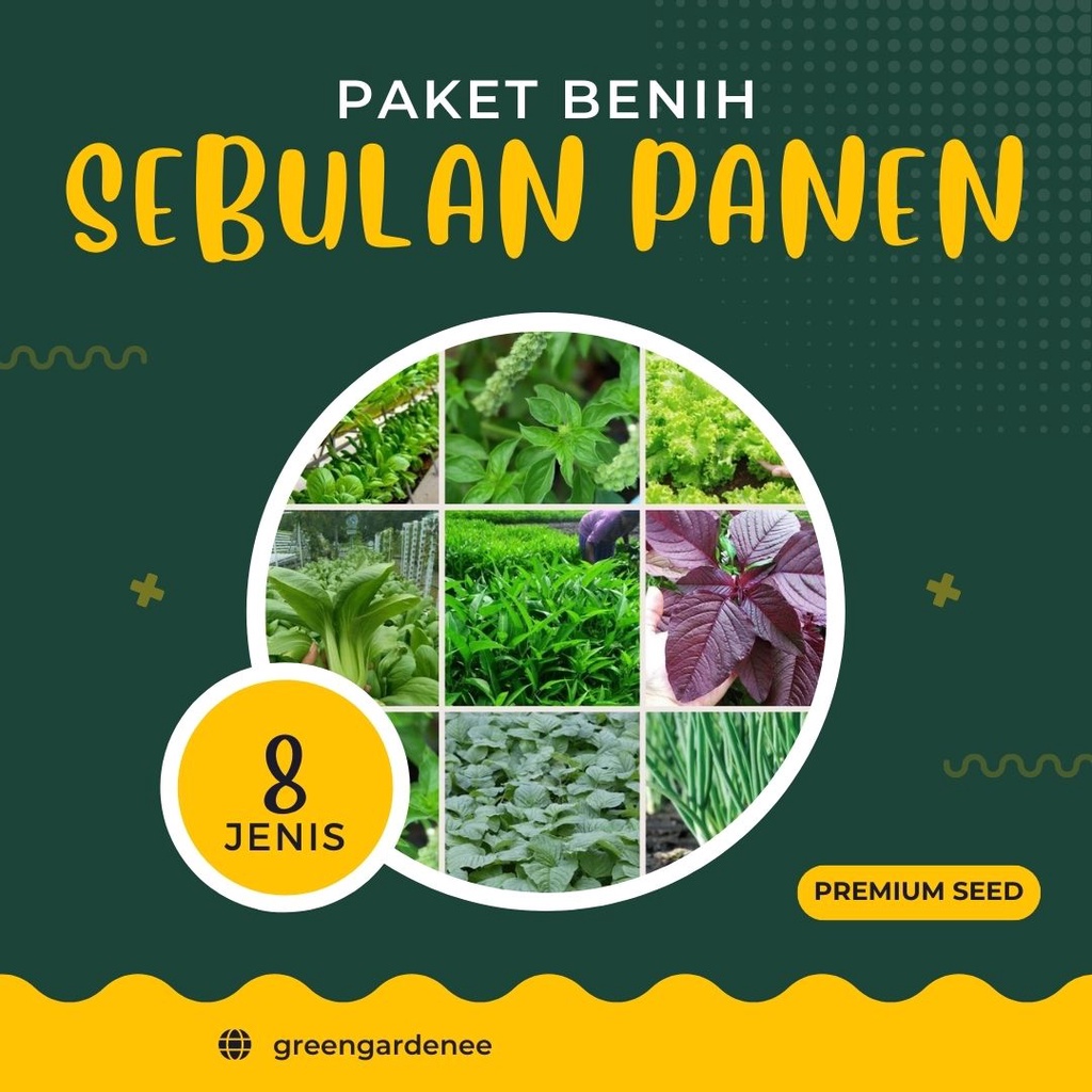 Jual Paket Hemat 8 Macam Benih Bibit Sayuran Sebulan 30 Hari Cepat