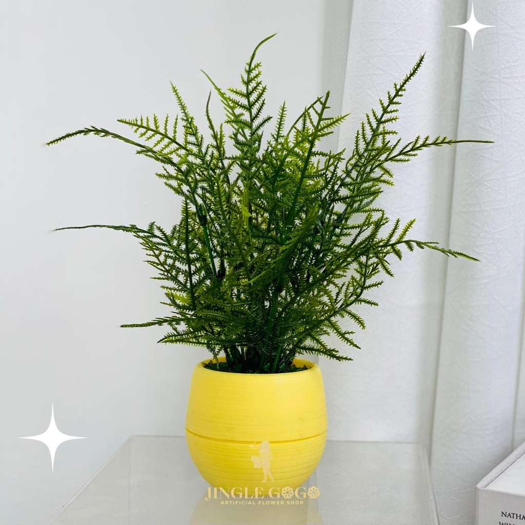 Jual Pot Mini Pakis Artificial Tanaman Hias Daun Cemara Pajangan Meja ...