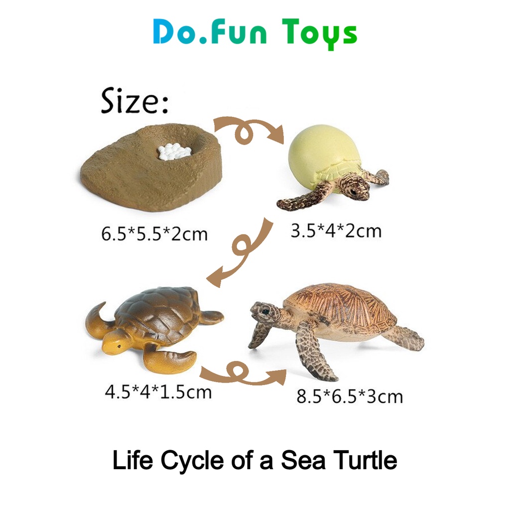 Jual Animal Figure Life Cycle Of A Sea Turtle Siklus Hidup Binatang