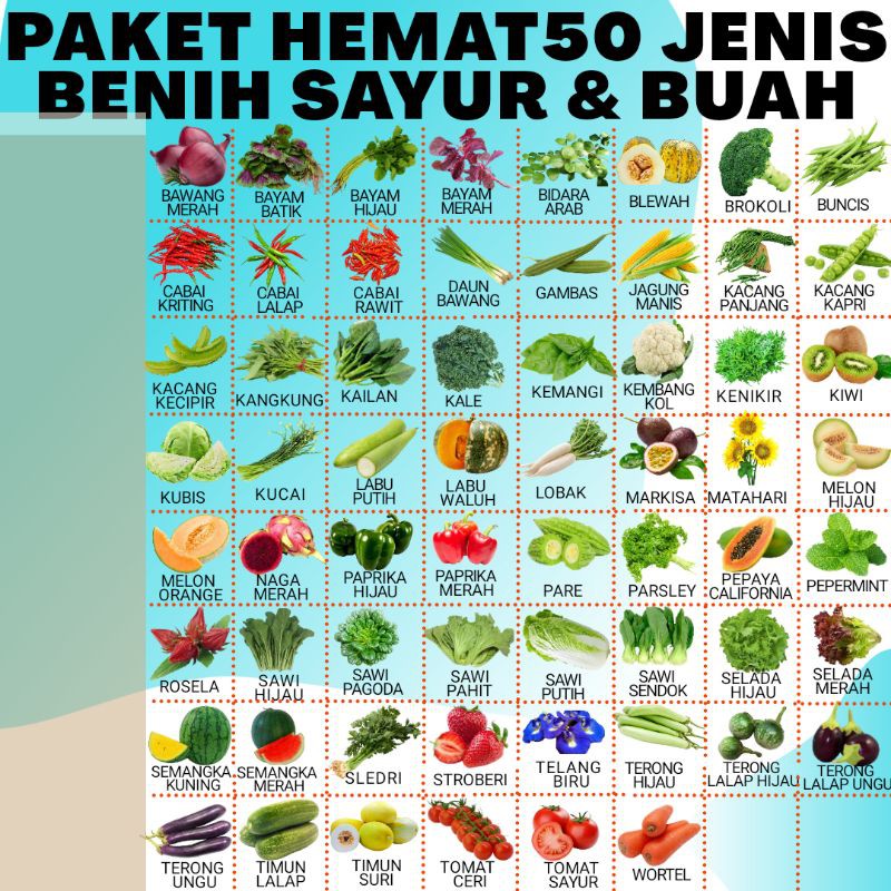 Jual Paket Hemat Jenis Benih Bibit Biji Sayur Buah Dan Bunga