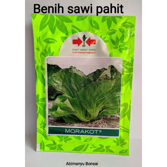 Jual Benih Sawi Pahit Morakot 20 Gram Cap Panah Merah Shopee Indonesia