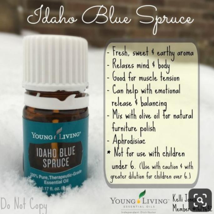 Idaho blue spruce 2024 essential oil