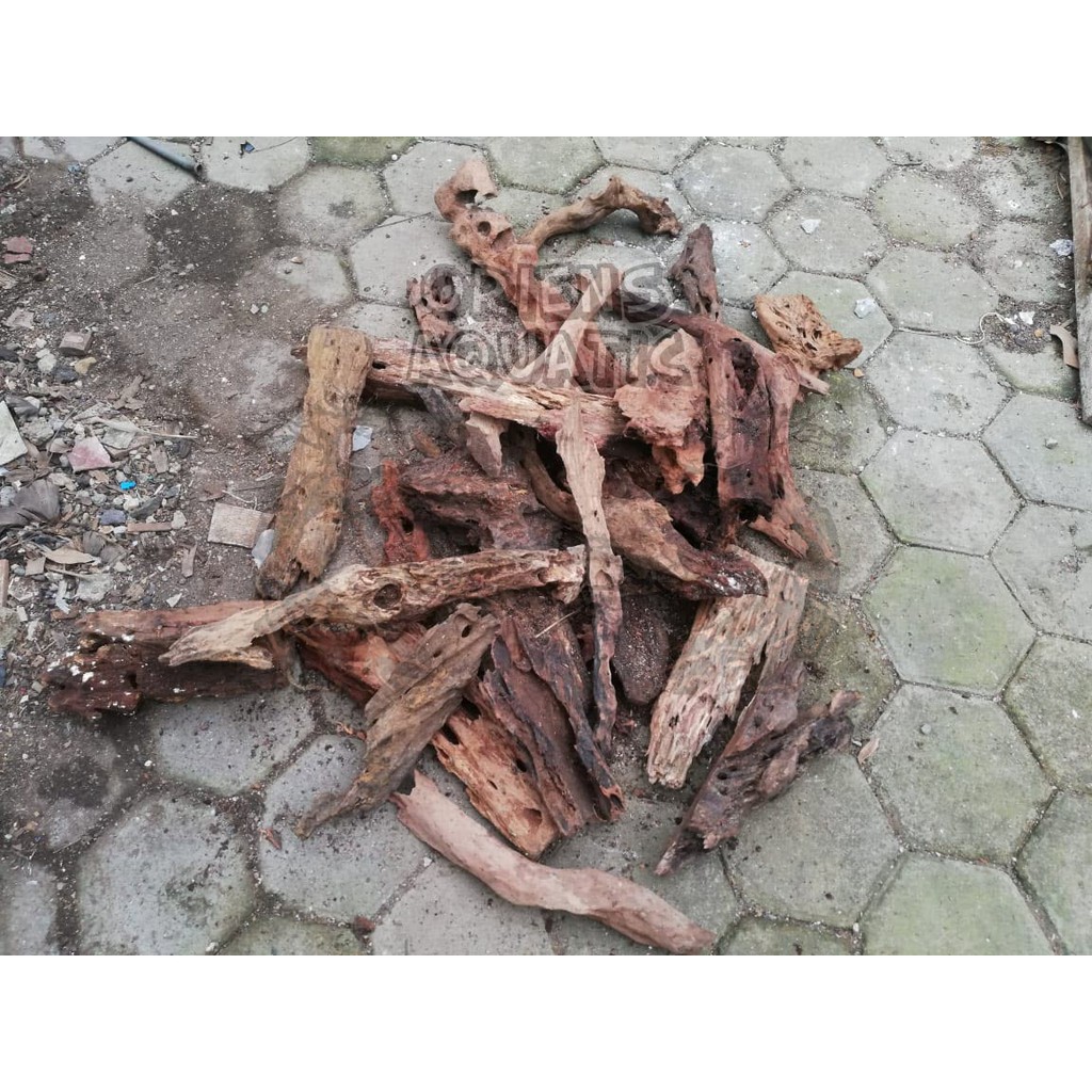 Jual Kayu Rentek Size S-M Panjang / Pendek Grade A | Shopee Indonesia