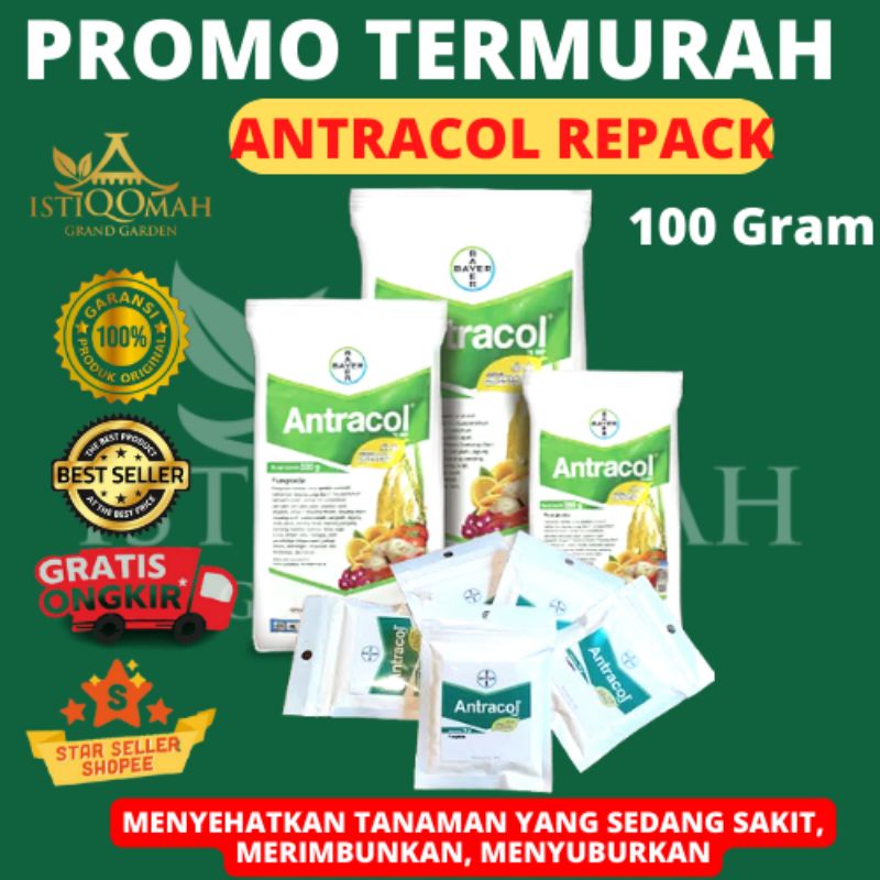 Jual Antracol Wp Repack Gr Obat Jamur Atau Fungisida Shopee