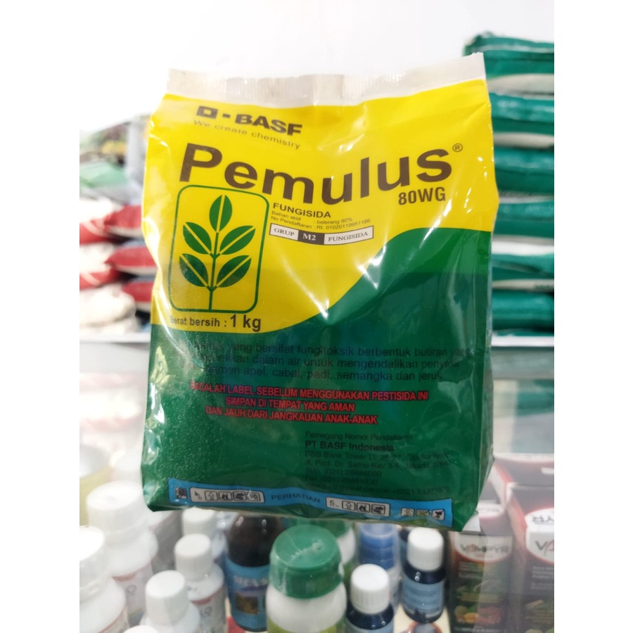 Jual PEMULUS 1 KG | Shopee Indonesia