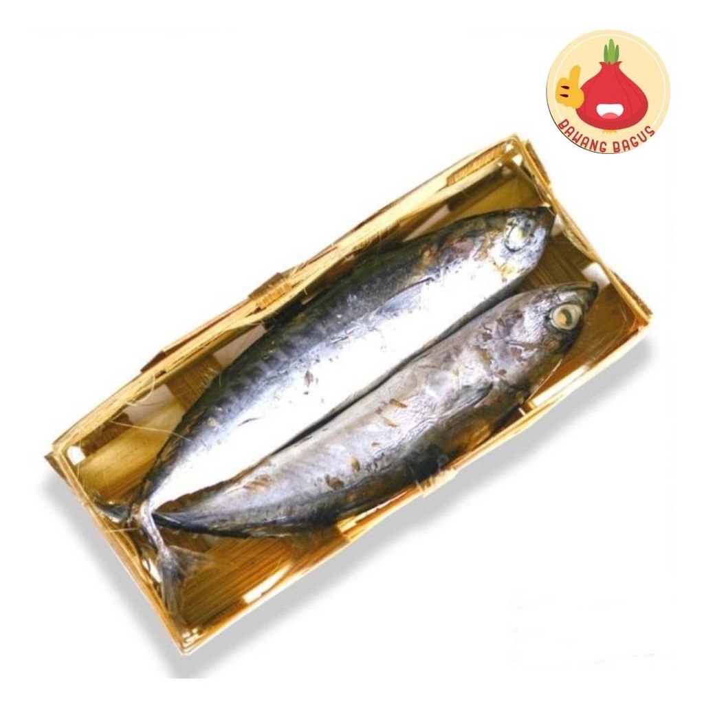 Jual Ikan Cue Keranjang/Ikan Cue/Cue Keranjang Isi 2ekor Bawangbagus