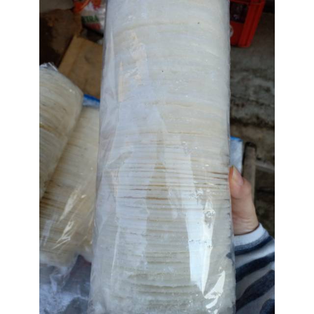 Jual Simping Kencur Asin Tipis Khas Karawang | Shopee Indonesia