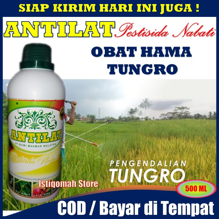 Jual Antilat Ml Pestisida Nabati Insektisida Pembasmi Tungro Obat Semprot Hama Tungro