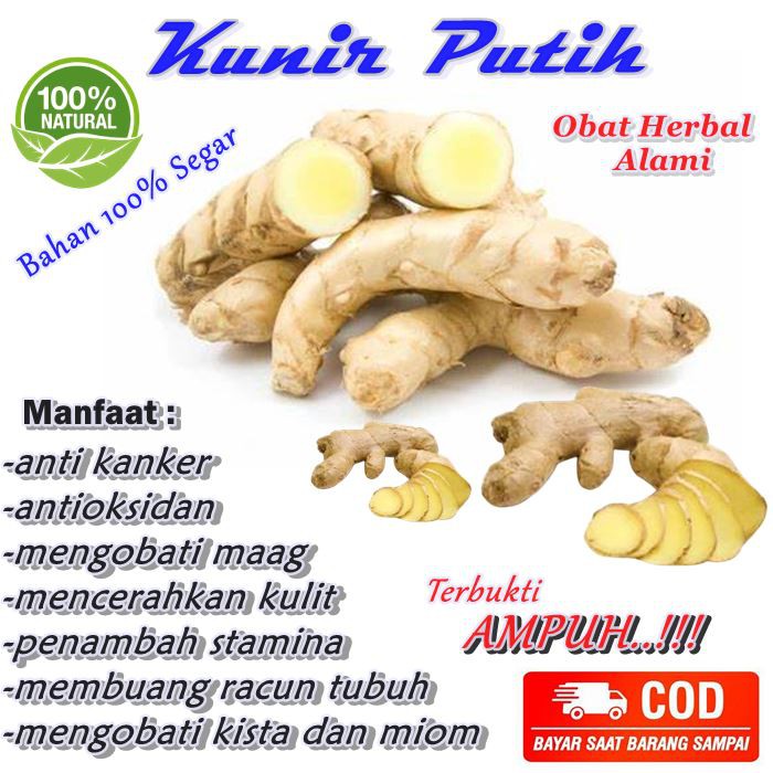 Jual Kunyit Putih Serbuk Murni 100 Kunir Putih Bubuk Original Asli Alam Temu Putih Segar 9834