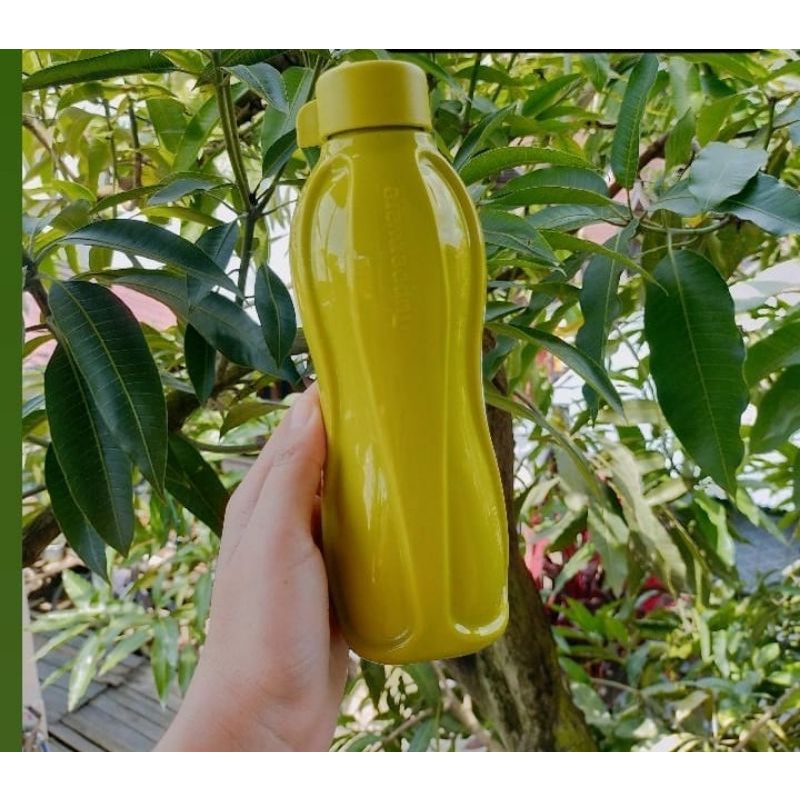 Jual eco bottle 500 ml | Shopee Indonesia