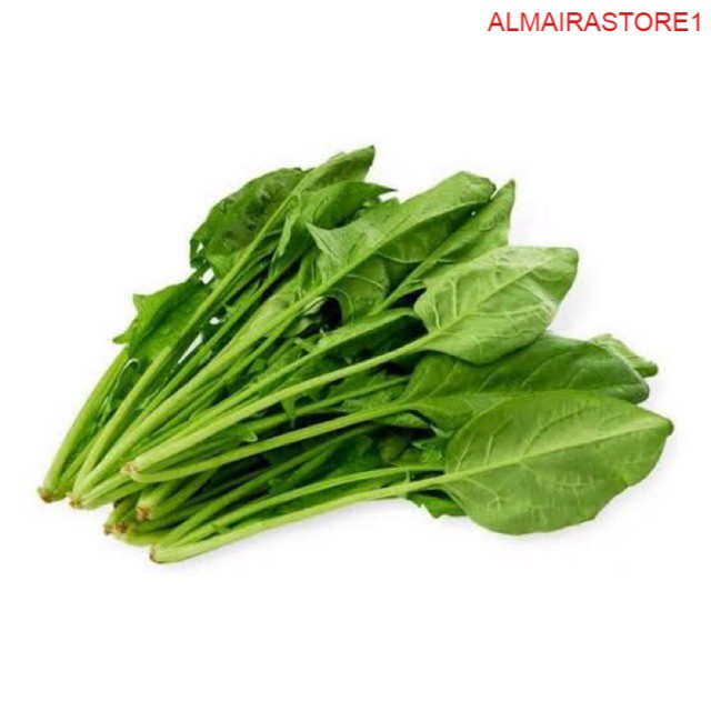 Jual Sayur Sayuran Segar Fresh Pocai 100 Gram Wfb Shopee Indonesia